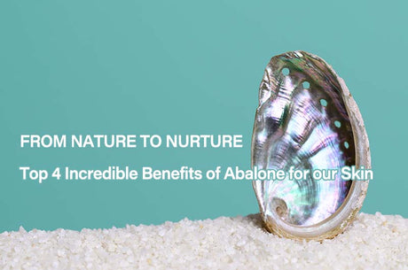 From Nature to Nurture: Top 4 Incredible Benefits of Abalone for our Skin