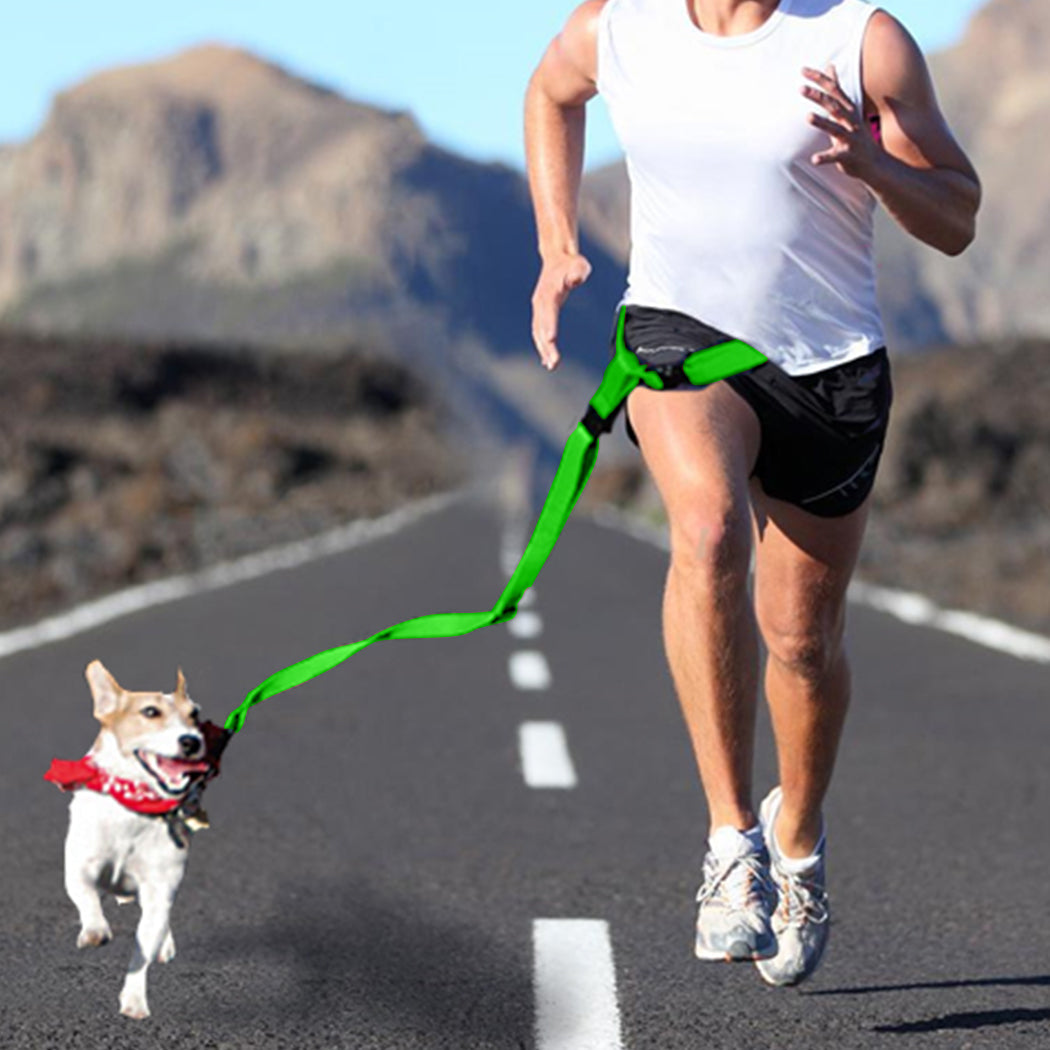 Adjustable Dog Hands Free Leash Waist Belt Buddy Jogging Walking Running